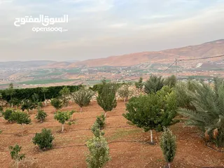  5 ارض للبيع في النصارية