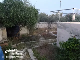  15 منزل للبيع المفرق بلعما الزيتونه واصل جميع الخدمات منطقة الزيتونة قريب من شارع اوستراد اربد الزرقاء