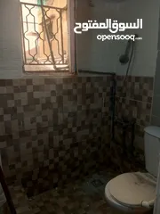  8 شقة صغيره للايجار