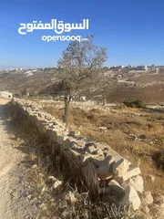  1 ارض للبيع في واد رحال