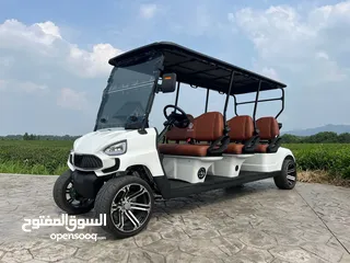  1 golf car electric car