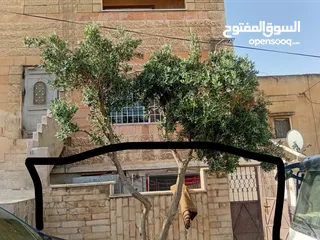  3 شقتين للبيع ارضية وطابق ثالث وبلكونه سوبر لوكس