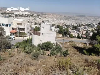  1 قابل للتفاوض ارض للبيع في صويلح اسفل سارية الأعلام بإطلالة جميلة على قصور الحمّر و سهل البقعة