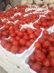  2 لا تفوت عرض خاص دبس بندورة و فليلة و رمان