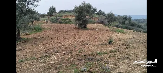  10 أرض مميزة جداً لعمل شاليه استثماري أو مزرعة خاصة أو مزرعة تجارية يوجد بها قناة ماء من المالك مباشرة