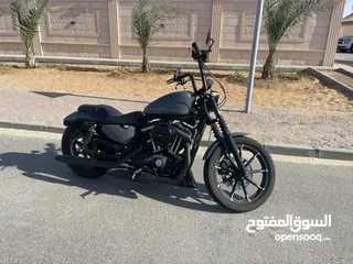  1 Iron 883 for sale asking