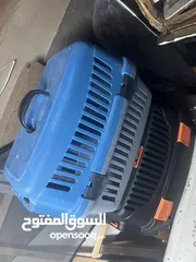  5 قفص بسس للبيع
