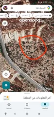  1 القبة الذهبية ارضي بلعا دير الغصون قرب بجورا