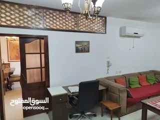  8 شقه مفروشه في عين منجد