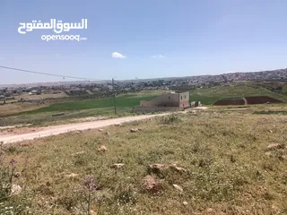  13 قطع اراضي للبيع في كتم حوض وادي حسان