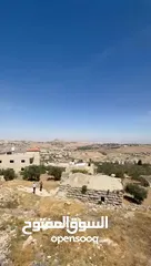  3 ارض للبيع مع شقتين في جناتا ابو نجيم