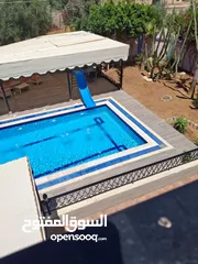  6 شاليه لقطة للبيع الغور شميساني الغور طابقين مع بركة بسعر محروق للبيع المستعجل