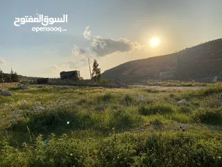  7 مزرعة للبيع في يرقا-السلط، إسكان المهندسين