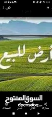  1 أرض للبيع في عين سينيا