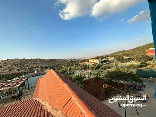  15 شارع الاردن الكمشة العالوك
