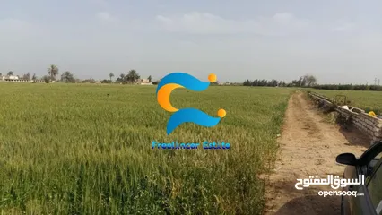  1 مزرعة للتمليك 15 فدان في البحيرة مركز الدلنجات قرية زهور الامراء