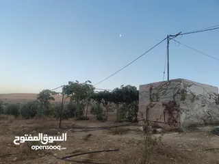  16 مزرعة مع بيت للبيع