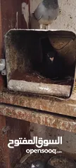  3 حمام مشكل عند صورهن