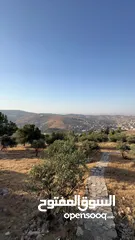  14 قطعة ارض للبيع ( الإطلالة الأجمل في منطقة بيرين)  واصل جميع الخدمات ( على قمة ام رمانة )