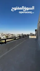  2 Fully furnished rooftop for rent ( Property 36984 )-174804904