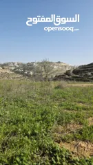  4 قطعة نص دونم دورا