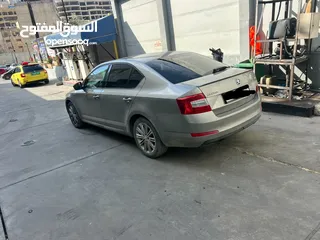  4 سكودا اوكتافيا في الرخصة  2015