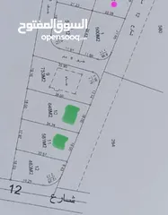  6 650 متر  مادبا جرينه سكن ج مزروعه بالزيتون المثمر على  شارع 12 م