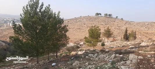  1 ارض. للبيع