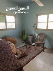  7 بيت طابق اول مدخل مستقل