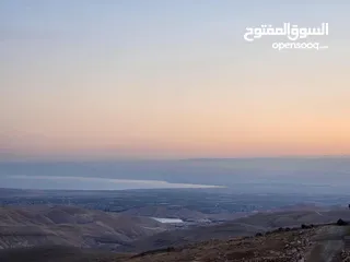  5 ارض في منطقة عراق الامير تحديدا ام المدارس