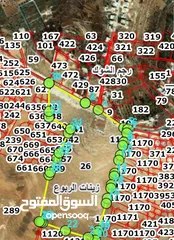  1 للبيع: قطعة أرض مساحتها دونم من المالك مباشرة فرصة استثمارية مميزة