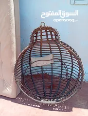  8 صوفيه ومرجيحه عش وكنب