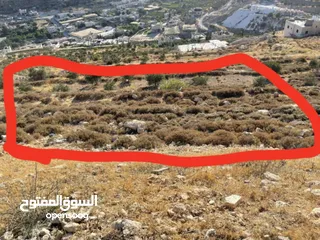  1 ارض للبيع طابو
