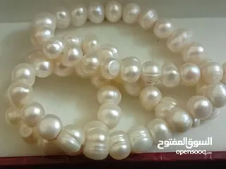  1 عقد لؤلؤ تحفه غاية في الجمال كما موضح بالصور يستحق الاقتناء موجودفي اربد شارع بلاط الشهداء
