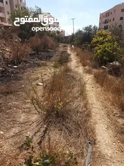  3 ارض دائرة السير