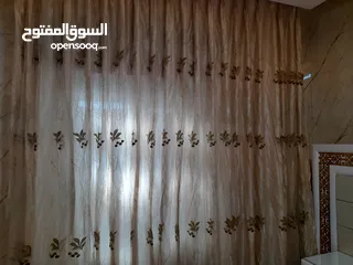  1 برادي شيفون كتير طقال