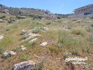  23 2300 م السلط المغاريب قطعة ملوكية تصلح ل فيلا او مزرعة اطلالة ع الغرب و جبال فلسطين