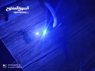  2 ليزر ازرق ليزر اصفر متوفر لجميع انواع السيارات