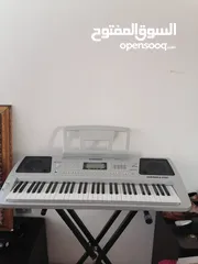  2 اورغ دو ري مي شرقي غربي جديد