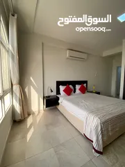  13 Beautiful Fully Furnished 1 BR apartment