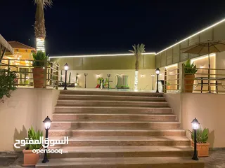  20 شاليه و مزرعه  نظام فلل للبيع بسعر لقطه تبعد عن عمان 10دقائق طريق جرش خلف مطعم الوادي الاخضر (المالك