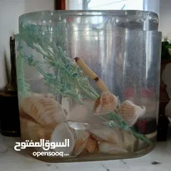 27 بازااااار الدينااااار اي قطعه بدينار واحد فقططط