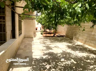  1 دابوق شقة ارضية طابقية مع حديقه 4 نوم للإيجار الفارغ