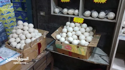  16 جميد بلدي جميد كركي سمنه بلدي جبنة غنم