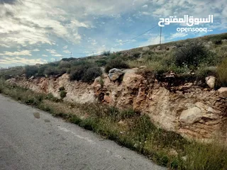  4 نمر مميزة للبيع