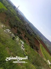 5 ارض للبيع في منطقه السليحي