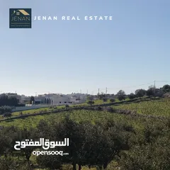  4 ارض مميزة للبيع بالقر من دابوق حوض ابو ركبة