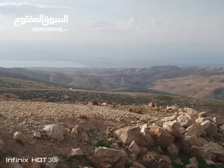  7 مادبا ماعين قطعة أرض زراعية مميزة مطلة على البحر الميت والضفة الغربية بمساحة 21 دونم