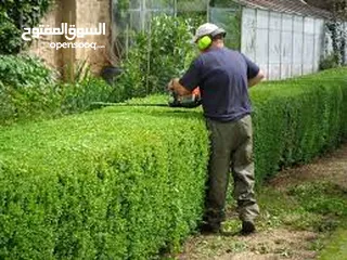  11 تنسيق و صيانة حدائق و انشاء و صيانة شبكات الري في جميع مناطق الكويت