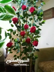  28 أشجار زينه ورد صناعي   متوفر لون احمر فقط  شغل بيتي مرتب بزبط داخلي و خارجي للمنزل وللغرف و للمداخل